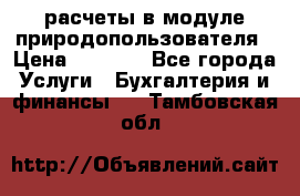 расчеты в модуле природопользователя › Цена ­ 3 000 - Все города Услуги » Бухгалтерия и финансы   . Тамбовская обл.